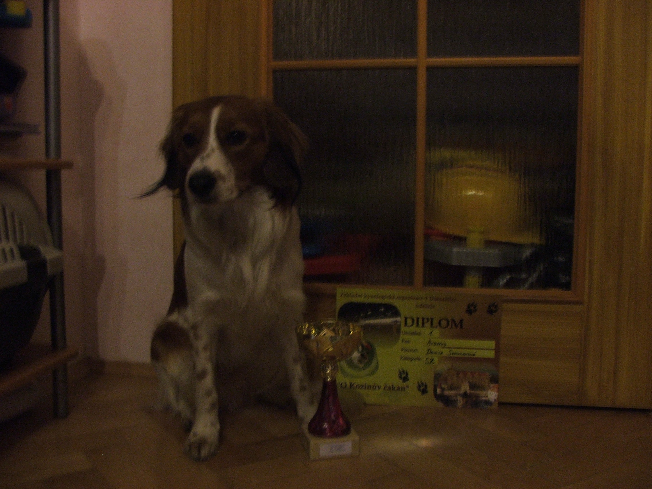 DSCF2007.JPG