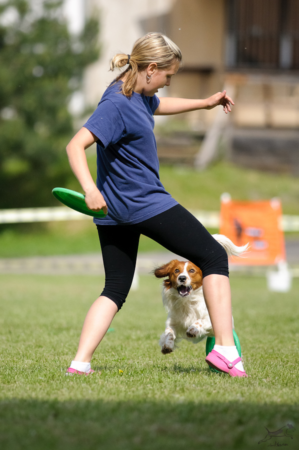 aji dogfrisbee.jpg